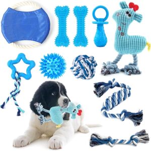 SLE Dog Chew Toys Set, 10Pcs Interactive Toys, Light-Up Bouncing Ball