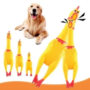 Pet Toys