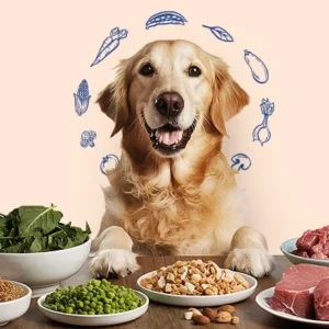 Pet Food