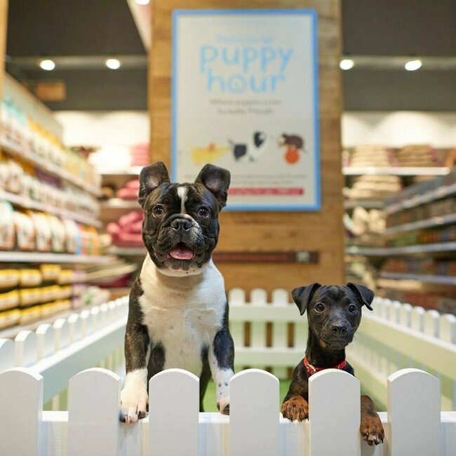 Pet Supplies